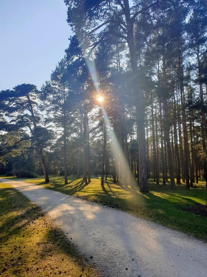 Palanga Apartments Near Baltic Sea 외부 사진